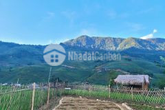 Bán lô đất đẹp rộng 532m2 tại y tý,bát xát sapa2. nhanh tay đầu tư