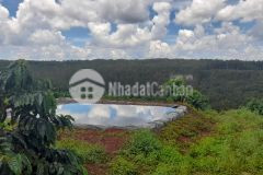 2ha đất trồng sầu riêng, bơ, cà phê giá rẻ