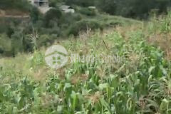 Bán gấp 600m vị trí đắc địa phìn hồ sapa 2 giá đầu tư