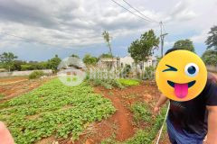 Chu ngôp, ban gâp, đương 304, tp.buôn mê, 240m2, chi 950tr.