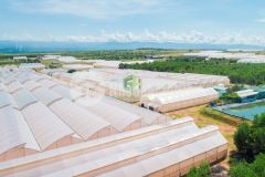 13.748m2 đất nông nghiệp xã bình tân cạnh công viên safari gần biển