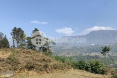 Bán mảnh đất làm homestay tại sín chải, y tý diện tích 1200m2