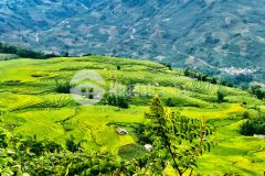 Bán đất y tý sapa 2 nhanh tay đón đàu sóng quy hoạch