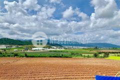 Lô f0 sổ riêng sẵn duy nhất cách trung tâm xã ka đơn huyện đơn dương vùng ven đà lạt