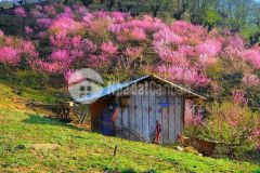 Bán mảnh đất khu đô thị mới phìn hồ y tý,view hồ quy hoạch 22ha