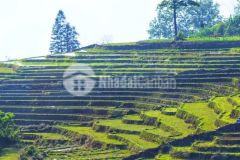 Bán mảnh đất nở hậu trung tâm sapa 2 y tý