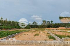 Chỉ với 315tr bạn đã sở hữu ngay đất nền tại phú quốc