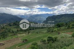 Đất sín chải sapa 2 tài chính hơn 1 tỷ khoảng 900m đất siêu đẹp làm nghỉ dưỡng