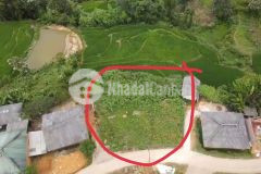 Bán mảnh đất 480m2 tại sapa 2, phù hợp làm home stay, view thung lũng siêu đẹp