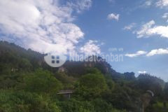 Bán đất mộc châu, khoảng 3000m nền bằng phẳng, view đẹp, ô tô vào tận đất