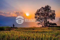 Đất sín chải giá rẻ view đẹp thích hợp làm homestay