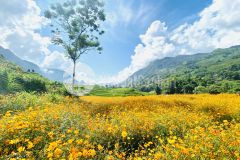 Bán khách sạn tại sapa giá cắt lỗ mùa covid