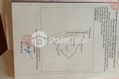 Cần bán mảnh đất giá rẻ mùa covid tại nt mộc châu