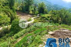 Bán mảnh đất 1500m2 tại sapa 2, view thung lũng, phù hợp kinh doanh home stay