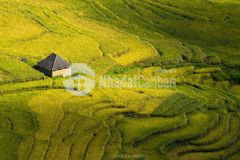 Mở bán xuất đất nội bộ trung tâm y tý sapa 2