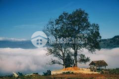 Cơ hội duy cơ hội duy nhất để sở hữu mảnh 282m2 tt sapa 2 cho nđt nhanh tay