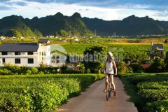 Chủ nhà trả nợ, cần bán lô đất tại mường sang mộc châu