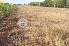 Bán đất phun đất ở diện tích rộng vĩnh linh