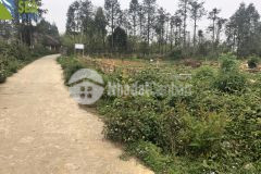 Cần bán lô đất nền 872m2 tại sapa với giá rẻ bất ngờ