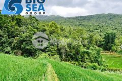 Bán đất y tý sapa 2. lô đất 2 mặt đường có view thung lũng siêu đẹp tại thôn sín chải.