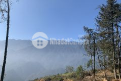 Đất tt sapa giá đầu tư mùa covid