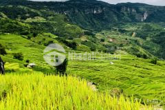 Bán đất nền trung tâm y tý sapa 2 đầu tư biên độ lợi nhuận tăng cao