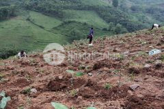 Đất thổ cư đẹp nhât, rẻ nhất tại tân lạc, hòa bình