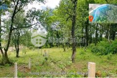 Đất nền y tý, siêu phẩm tại choản thèn sapa2, view thung lũng, giá chỉ từ 500 triệu