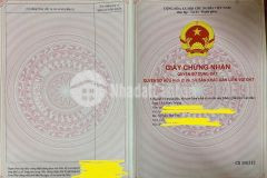 Làm giàu với bất động sản tiêm năng, tại sao bạn không sở hữu lô đất tại mộc châu ngay hôm nay