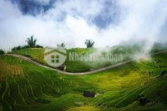 Đất sín chải sapa 2, an toàn đầu tư, giai đoạn đầu sóng quy hoạch