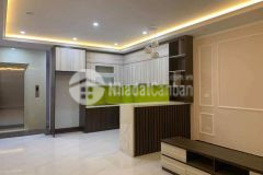 Bán nhà phố trường chinh, thanh xuân, 6 tầng, thang máy, ô tô tránh, dt 48m2, mt 4.8 m. chỉ 10 tỷ.