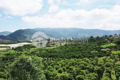 Chính chủ sang gấp 2 lô giá f0 trung tâm xã đông thanh, lâm hà ven đà lạt, sổ thổ cư