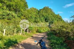 Bán mảnh đất bản búa tt mộc châu giá đầu tư