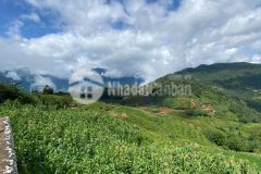 Bán đất trung tâm sapa 2 y tý phù hợp xây homestay khách sạn giá rẻ lợi nhuận cao