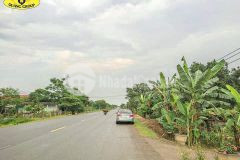 Bán đất đầu tư cam thành cam lộ