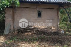 Thật dễ dàng để sở hữu ngay lô đất tuyệt đẹp tại mộc châu ngay hôm nay