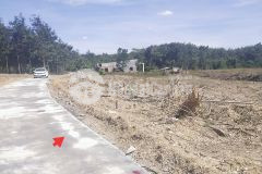 Đồng phú đất sào sổ sẵn dân cư đông đúc đường 9m thông chỉ 550 triệu sào đất siêu đẹp