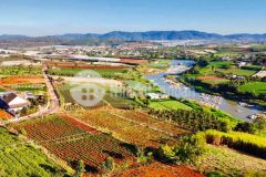 Gấp lô 3 mặt tiền sông đa nhim hàng hiếm nghỉ dưỡng giá rẻ xã đạ ròn huyện đơn dương, sổ riêng