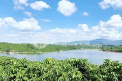 Bán nhà vườn xã đinh lạc, lâm đồng 18.000m2 chỉ 350trsào