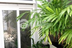 Bán nhà mặt tiền tân bình vị trí đáng mua kinh doanhở