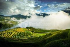 Bán gấp mảnh đất tiềm năng tăng giá cao view hồ tại y tý sapa2