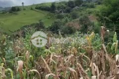 Bán mảnh đất gần dự án biển mây ở phan cán sử y tý sapa 2