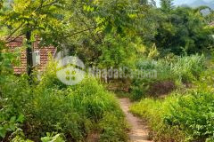 Mảnh đất siêu đẹp mặt ql43 đường đi loong sập