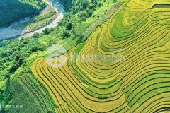 Đất y tý sapa 2 mặt tiền rộng view đẹp tài chính thấp cho nhà đầu tư mùa dịch