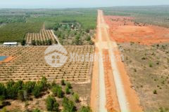 Đất nông nghiệp tại bình thuận liền kề cao tốc phan thiết dầu giây giá chỉ 100ngànm2, sổ đỏ riêng