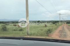 Bán 4000m2 đất trồng cây lâu năm giá bán 150.000đ2m, sổ đỏ bao công chứng ngay