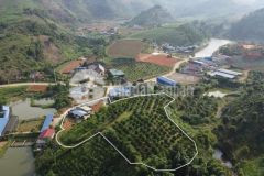 Đón sóng làm đường, cần bán 1 quả đồi tại mộc châu