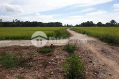 Bán đất thanh an cam lộchỉ 5xxtr cách quốc lộ 1a 50m