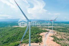 12000m2 đất nông nghiệp hồng thái gần dân cư và đường liên huyện ra sân bay phan thiết chỉ 1tỷha