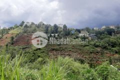 Bán đất đường khe sanh p10 tp. đà lạt. diện tích 650mv 14.0545.3